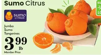 Pavilions Jumbo sumo tangerines offer