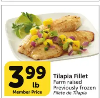 Vons Tilapia fillet offer