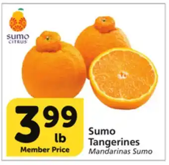 Albertsons Sumo tangerines offer