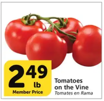 Albertsons Tomatoes on the vine offer