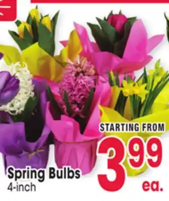 Jewel-Osco Spring bulbs offer