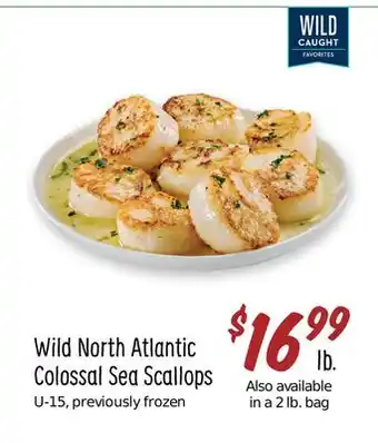Sprouts Farmers Market Wild north atlantic colossal sea scallops offer
