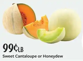 Fareway Sweet Cantaloupe or Honeydew offer