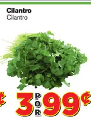 El Super Fresh Cilantro offer
