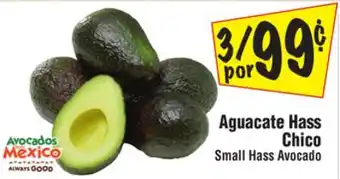 El Super Small hass avocado offer