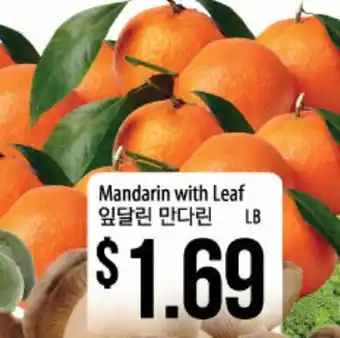 Hmart Mandarin with leaf offer
