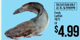 Hmart Fresh catfish offer