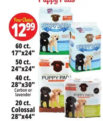 Ocean State Job Lot Puppy pads offer