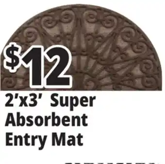 Ocean State Job Lot 2'x3' super absorbent entry mat offer