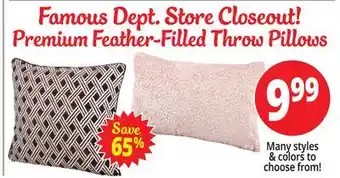 Ocean State Job Lot Premium feather-filled throw pillows offer