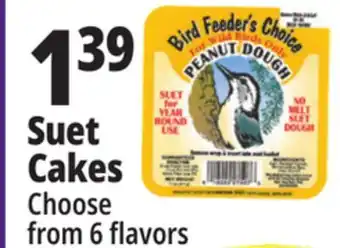 Ocean State Job Lot Bird feeder's choice high energy suet, 11 oz offer