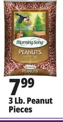 Ocean State Job Lot 3 lb. peanut pieces offer