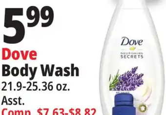 Ocean State Job Lot Dove body wash offer