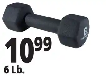 Ocean State Job Lot 6 lb vinyl coated dumbbell offer