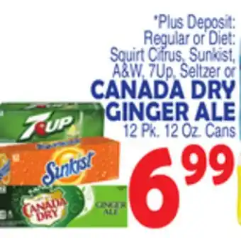 Bravo Supermarkets Canada dry ginger ale offer