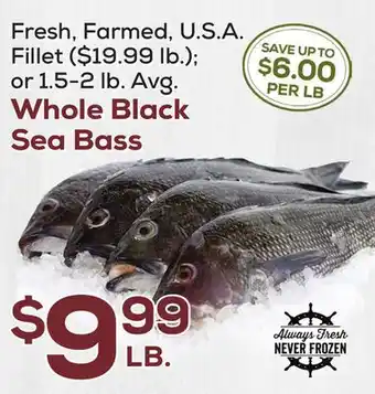 DeCicco & Sons Whole black sea bass offer