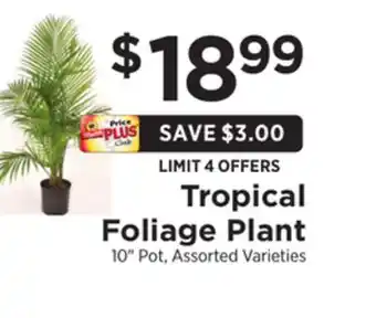 ShopRite Tropical foliage plant offer