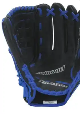 Big 5 Mizuno shadow series 13 professional model softball glove offer