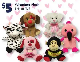 Family Dollar Valentine's plush offer