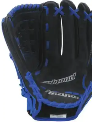 Big 5 Mizuno shadow series 13 professional model softball glove offer