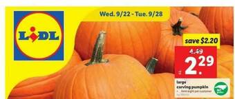 Lidl Large Carving Pumpkin offer