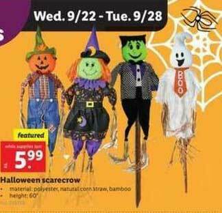 Lidl Halloween Scarecrow offer