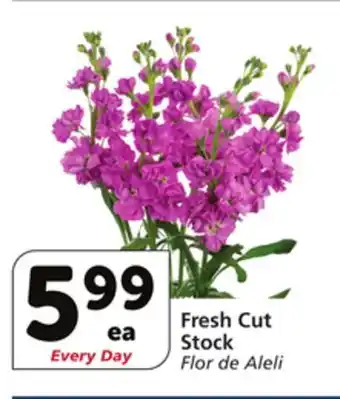 Vons Fresh Cut Stock offer