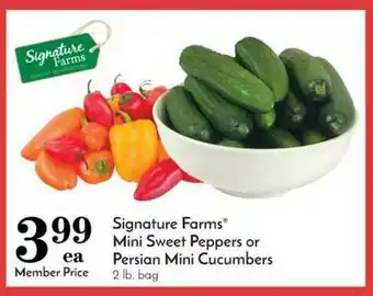Pavilions Mini Sweet Peppers Or Persian Mini Cucumbers offer