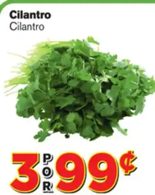 El Super Fresh Cilantro offer
