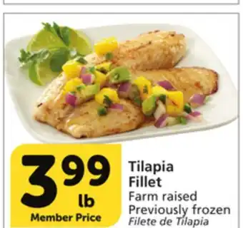 Albertsons Tilapia Fillet offer
