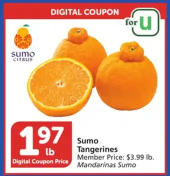 Albertsons Sumo Tangerines offer