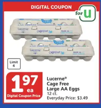 Albertsons Lucerne Cage Free Large AA Eggs offer