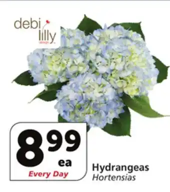 Albertsons Hydrangeas offer