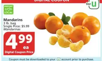 Albertsons Mandarins offer