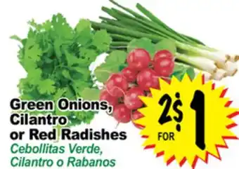 Superior Grocers Green Onions, Cilantro or Red Radishes offer