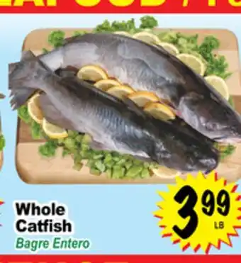 Superior Grocers Whole Catfish offer