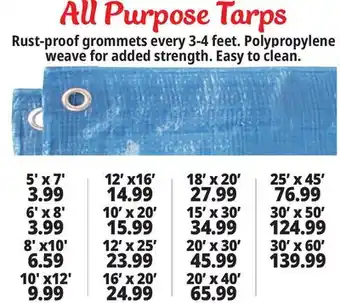 Ocean State Job Lot All Purpose Tarps offer