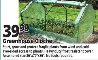 Ocean State Job Lot Greenhouse Cloche offer