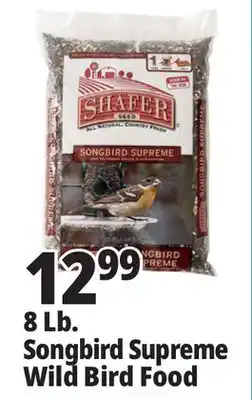 Ocean State Job Lot Shafer Songbird Supreme Bird Seed, 8 lbs offer