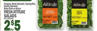C Town FRESH ATTITUDE SALADS offer