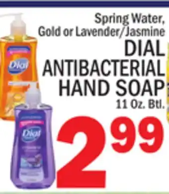 C Town DIAL ANTIBACTERIAL HAND SOAP offer