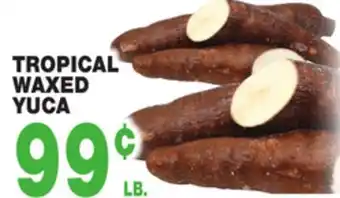 Bravo Supermarkets TROPICAL WAXED YUCA offer