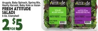 Bravo Supermarkets FRESH ATTITUDE SALADS offer
