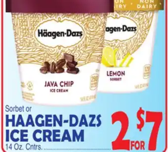 Bravo Supermarkets HAAGEN-DAZS ICE CREAM offer