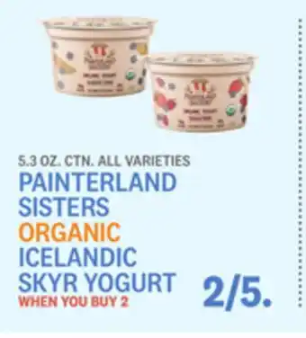 Kings Food Markets PAINTERLAND SISTERS ORGANIC ICELANDIC SKYR YOGURT offer