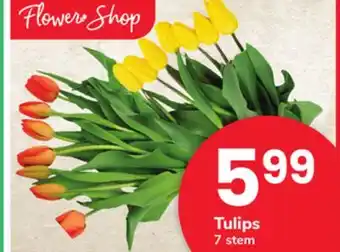 ACME Tulips offer