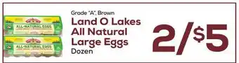 DeCicco & Sons Land O Lakes All Natural Large Eggs offer