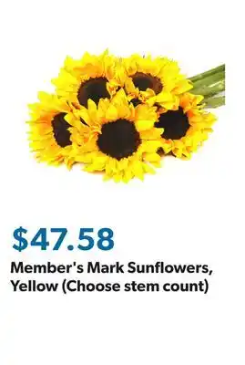 Sam's Club Member's Mark Sunflowers, Yellow (Choose stem count) offer