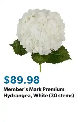 Sam's Club Member's Mark Premium Hydrangea, White (30 stems) offer