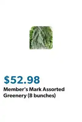 Sam's Club Member's Mark Assorted Greenery (8 bunches) offer